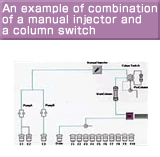 An example of combination of a manual injector and a column switch