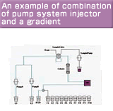 An example of combination of pump system injector and a gradient