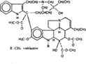 Isolation of vinca alkaloid