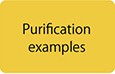 Examples of preparative purification